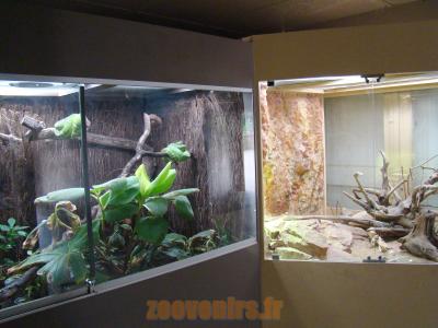 Vivarium - 2010