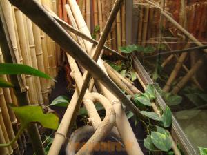 Terrarium