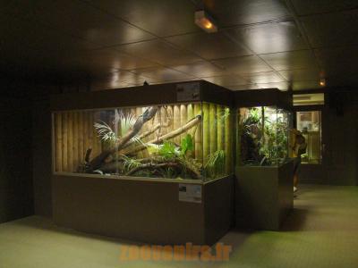 Vivarium - 2010