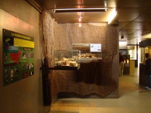 Vivarium