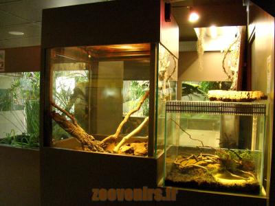 Vivarium - 2010