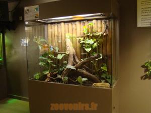 Terrarium