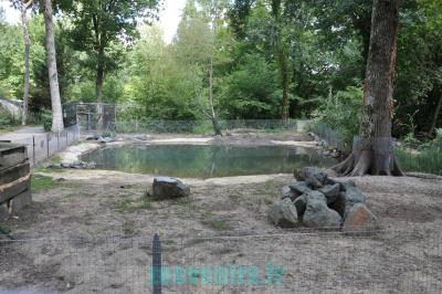 Castor du Canada - 2011