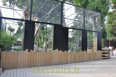 Ara ararauna - Saki à face blanche