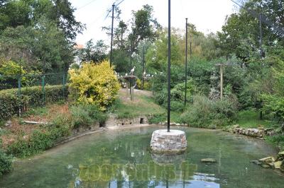 Volière européenne