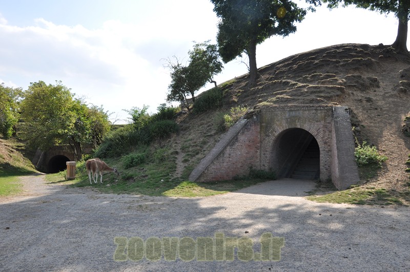 Fortifications