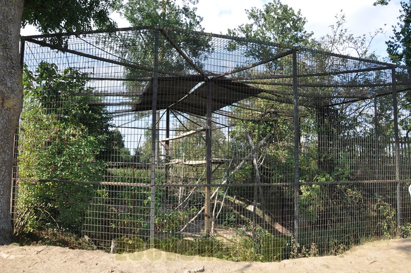 Volière abandonnée