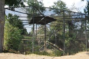Volière abandonnée