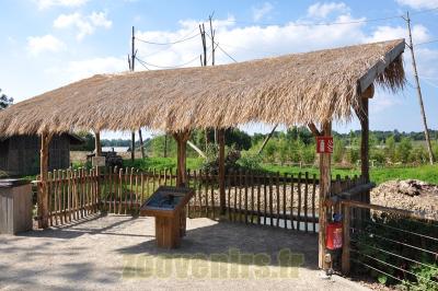 Gibbon à favoris - 2013