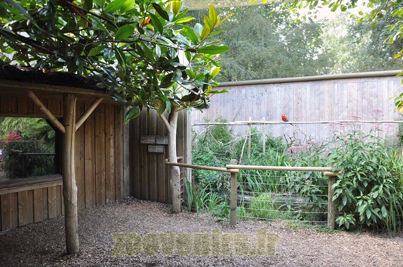 Volière d'Amérique du Sud - 2013