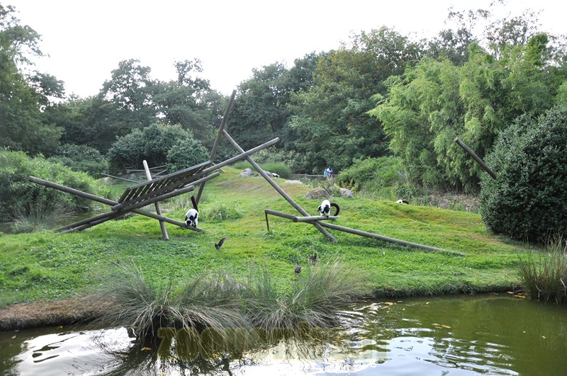 Vari noir et blanc - 2013