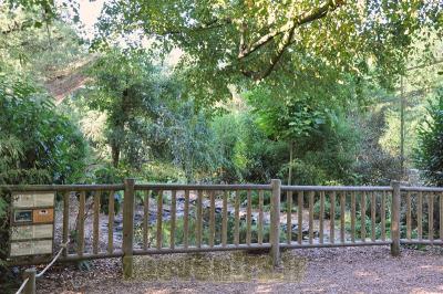 Volière africaine - 2013