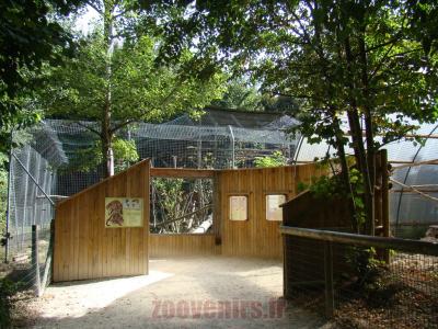 Panthére longibande - 2012