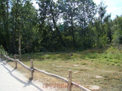 Espace lémuriens - 2012