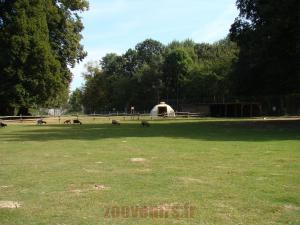 Mini-ferme