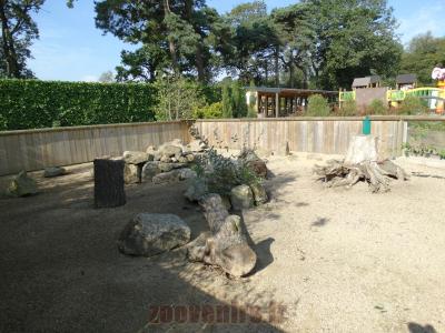 Chien de prairie - 2014