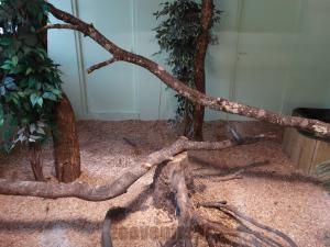 Village des reptiles