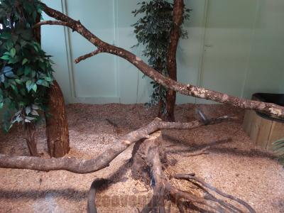 Village des reptiles - 2014