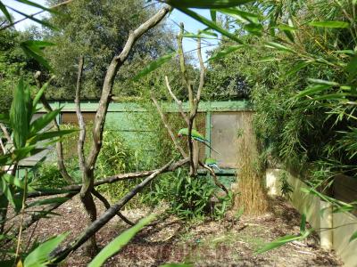 Ara militaire - 2014