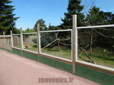 Panda roux - Muntjac de Reeves - 2014