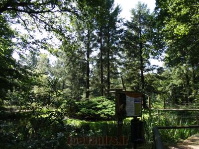 Atèle de Geoffroy - 2014