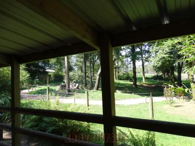 Affut sur le "Safari maki" - 2014