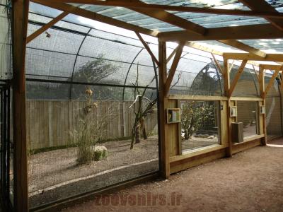 Roussette d'Egypte - Tisserin gendarme - 2014