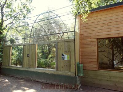 Tamarin empereur - 2014