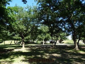 Loge des herbivores