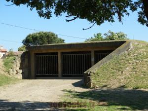 Loge des herbivores