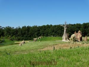 Eléphant d'Afrique