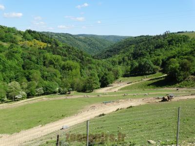 Plaine africaine - 2014