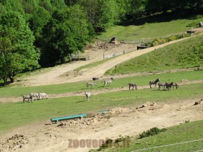 Plaine africaine - 2014