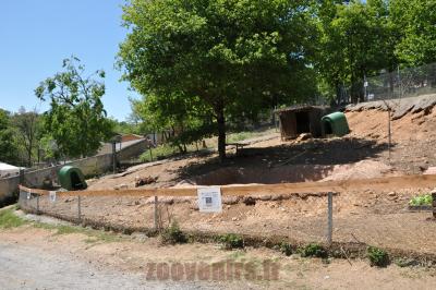 Lapin - Oie à tête barrée - 2014