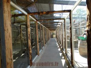 Le parcours de visite