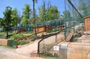 Cages des fauves