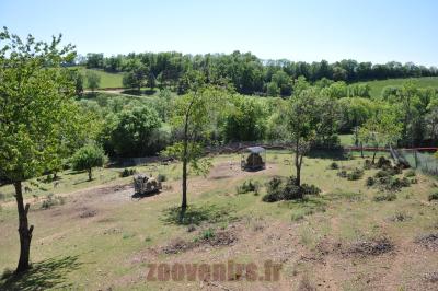 Nilgaut - Cervicapre - 2014