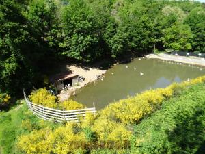 Lac des flamants roses