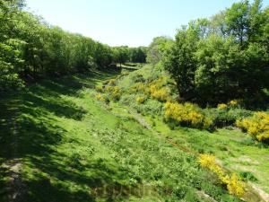 La vallée tibétaine