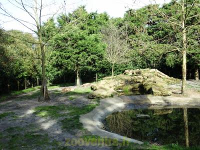 Hyéne tachetée - 2017