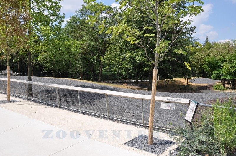 La pampa sud-américaine