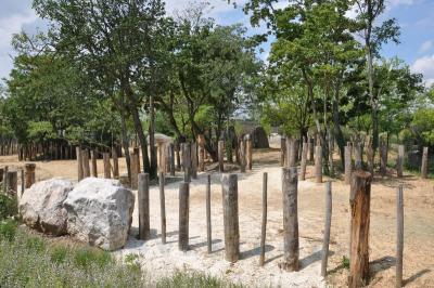 Rhinocéros blanc - Zébre de Grévy