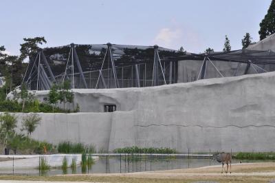 La grande volière africaine