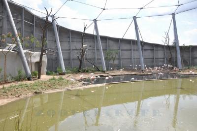 La volière africaine