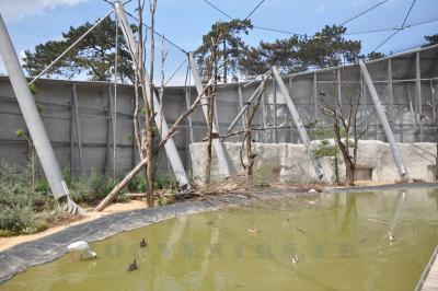 La volière africaine