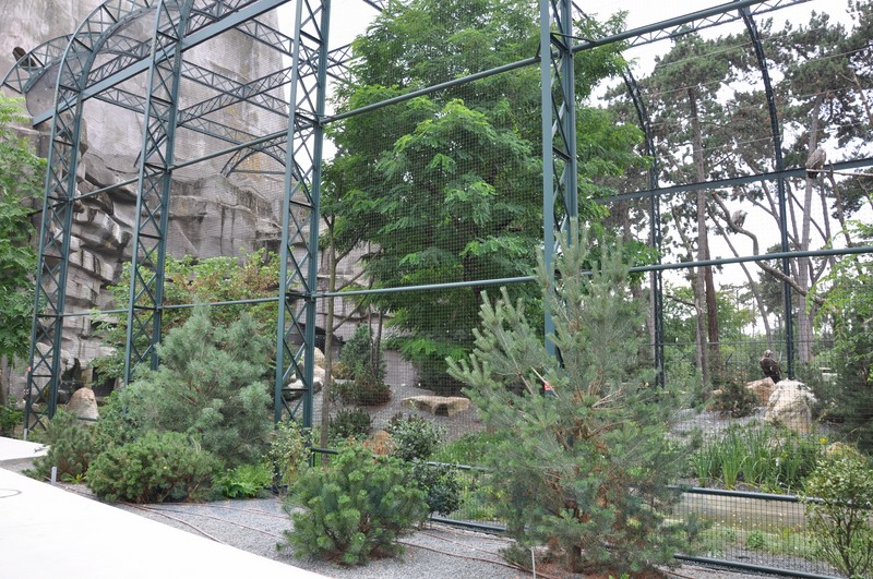 La volière des rapaces