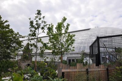 La grande serre tropicale