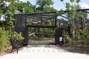 Fossa