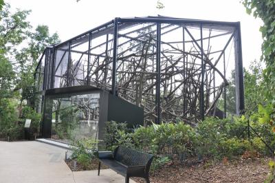 Propithéque couronné