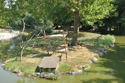 Gibbon à favoris blancs - 2014